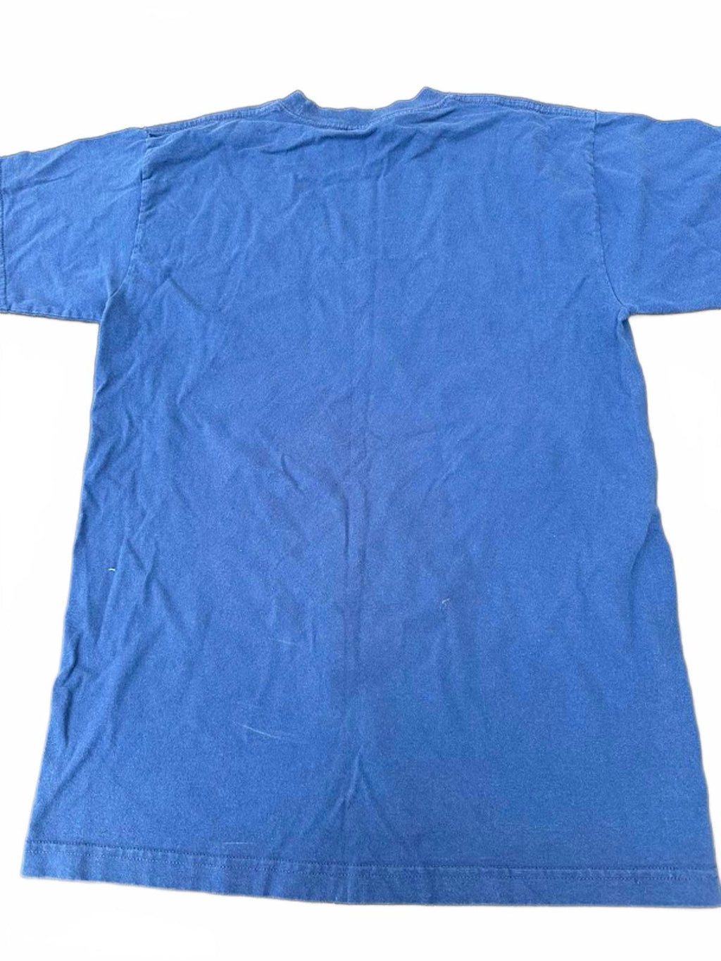 Stüssy BMX Graphic Tee Blue Medium