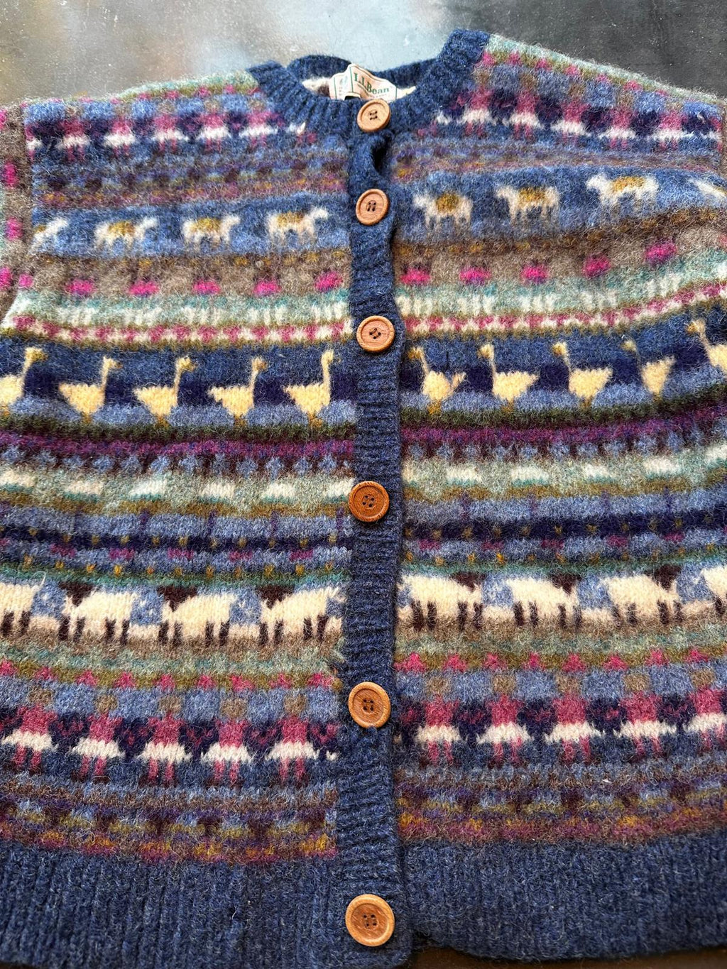L.L. Bean Fair Isle Pure Wool Cardigan Women’s L