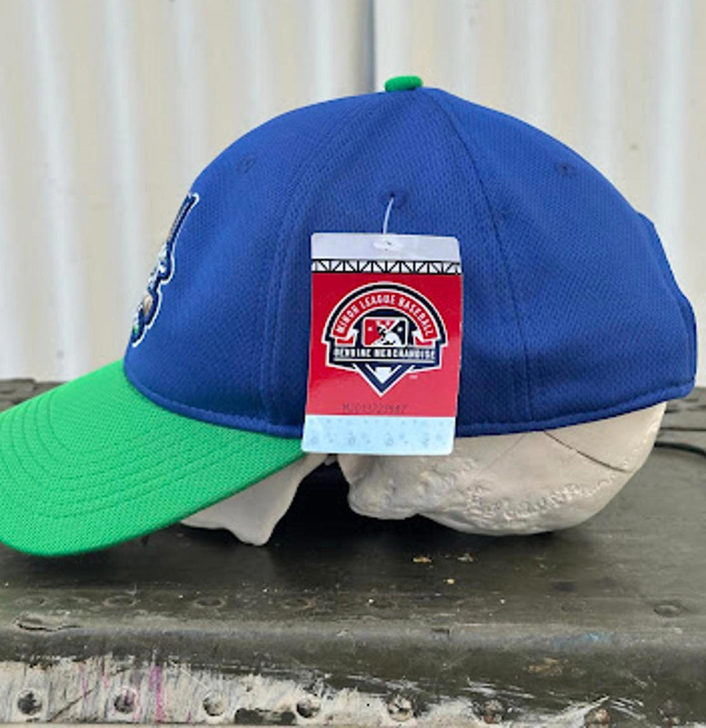 Hartford Yard Goats MiLB NWT Cap OSFA