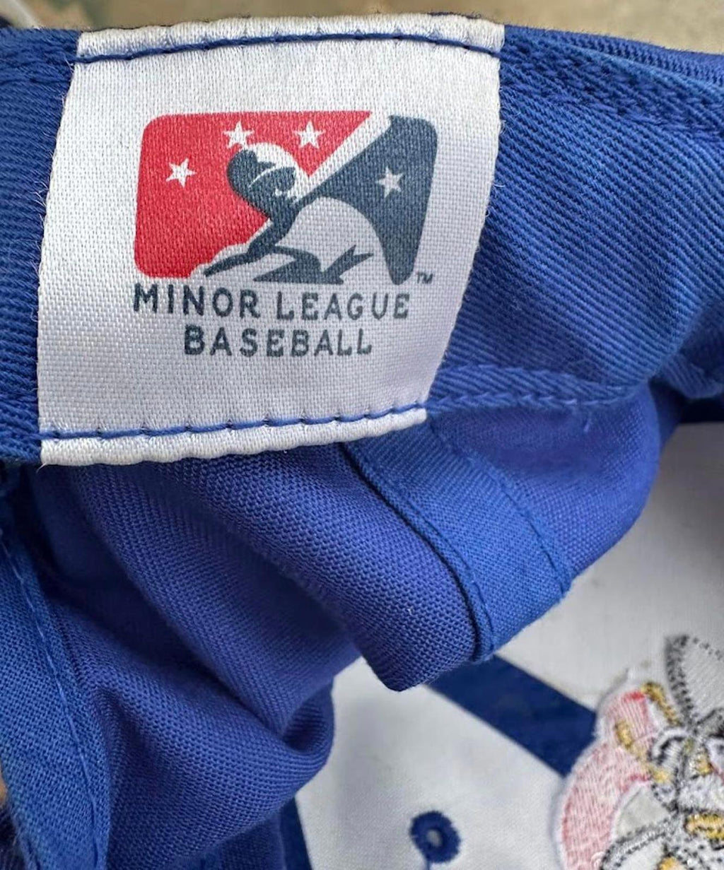 Burlington Bees MiLB Hat