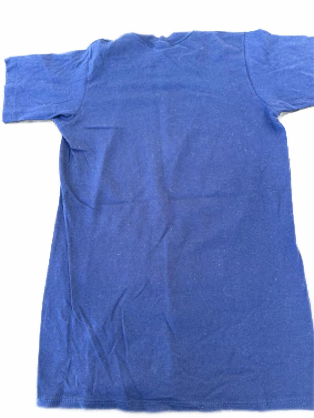 Vintage Buffalo Bills AFC Champions Tee
