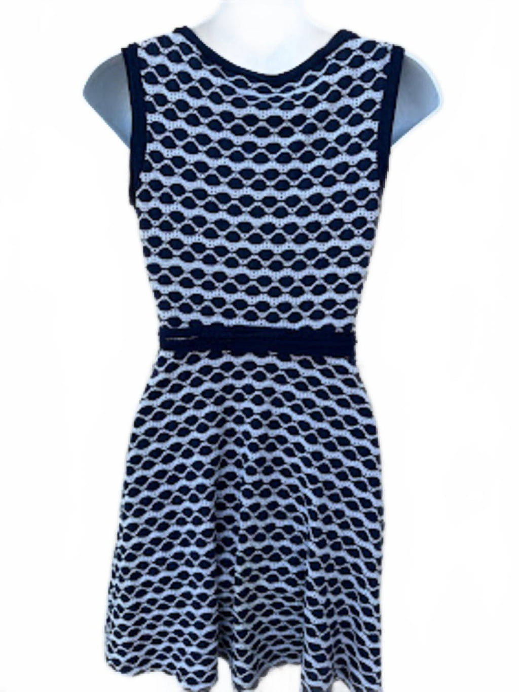Max Studio Navy White Fit & Flare Dress XS