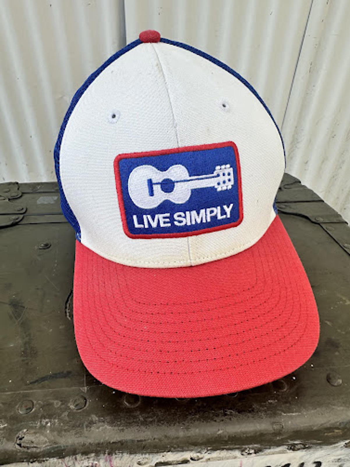 Patagonia Live Simply Trucker Hat