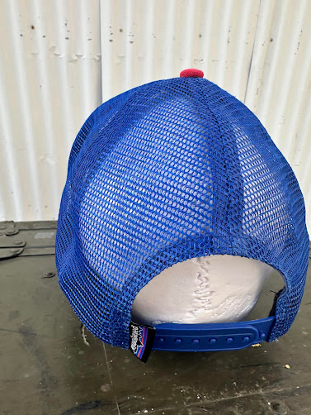 Patagonia Live Simply Trucker Hat