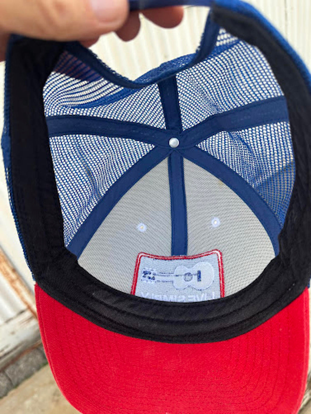 Patagonia Live Simply Trucker Hat