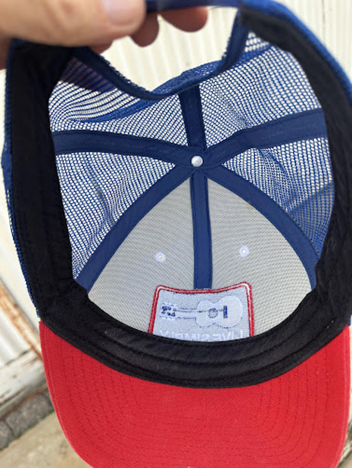 Patagonia Live Simply Trucker Hat