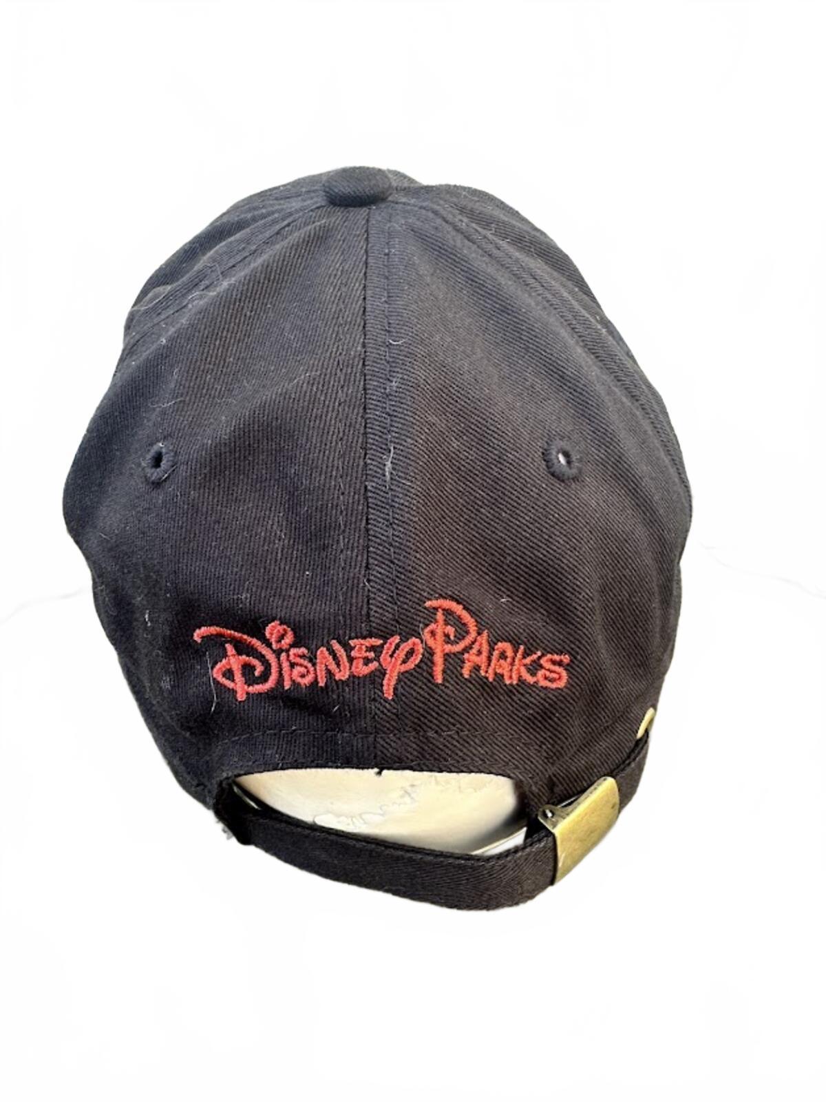 Disney Parks Poison Apple Hat Just One Bite
