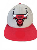 Mitchell & Ness Bulls Snapback Hat NBA