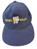 Baldwin Wallace Yellow Jackets Wool Hat