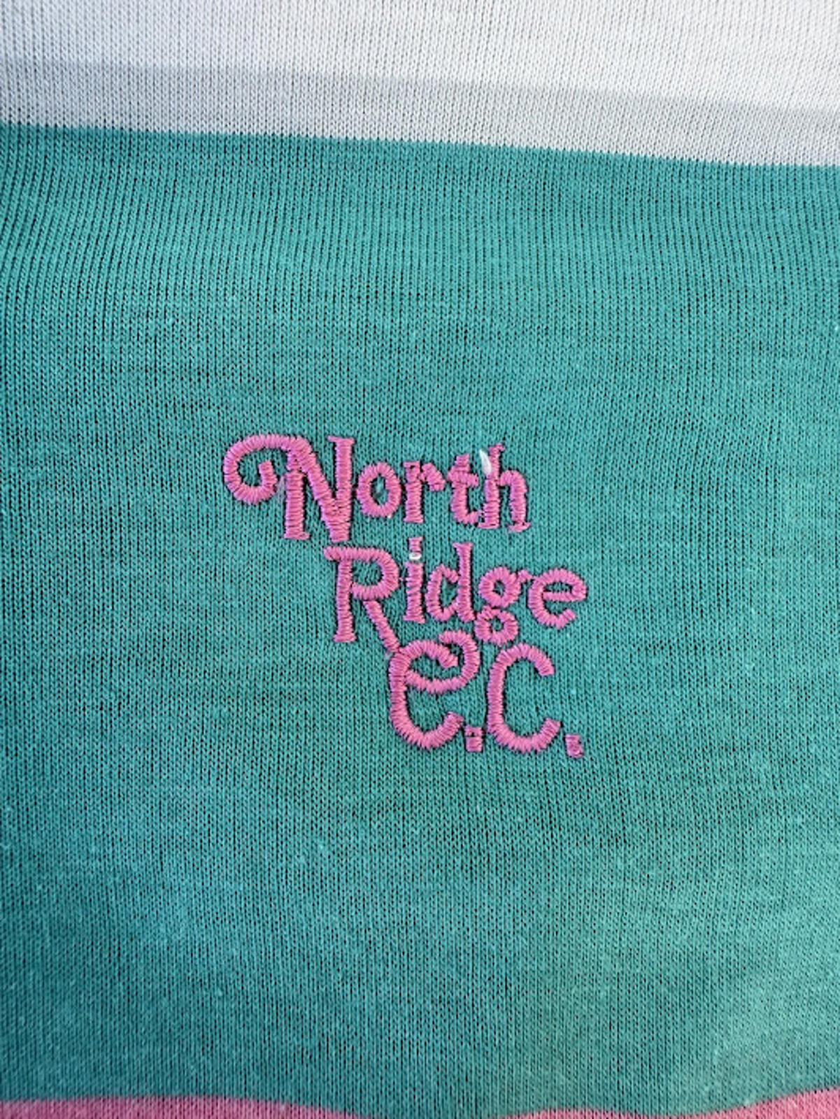 A.M. Player Teal Pink Stripe Polo Shirt M
