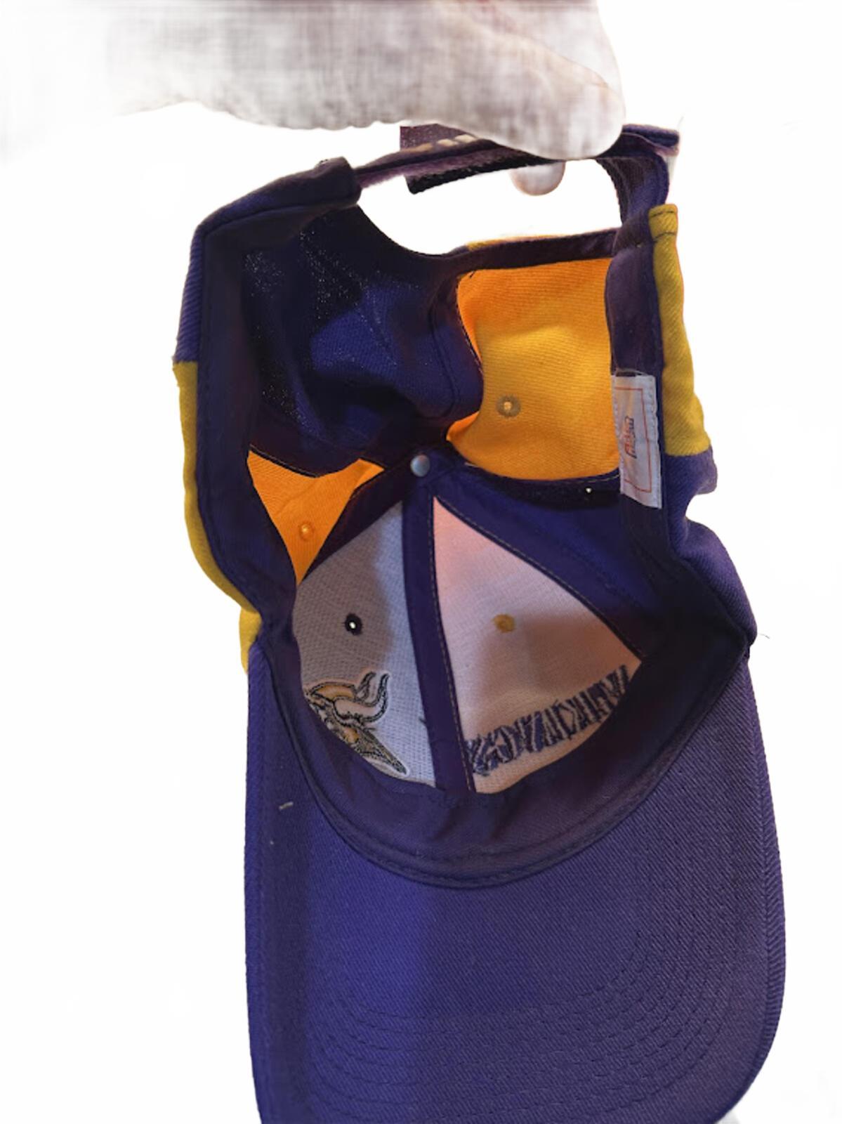 Minnesota Vikings Color Block Strapback Hat NFL