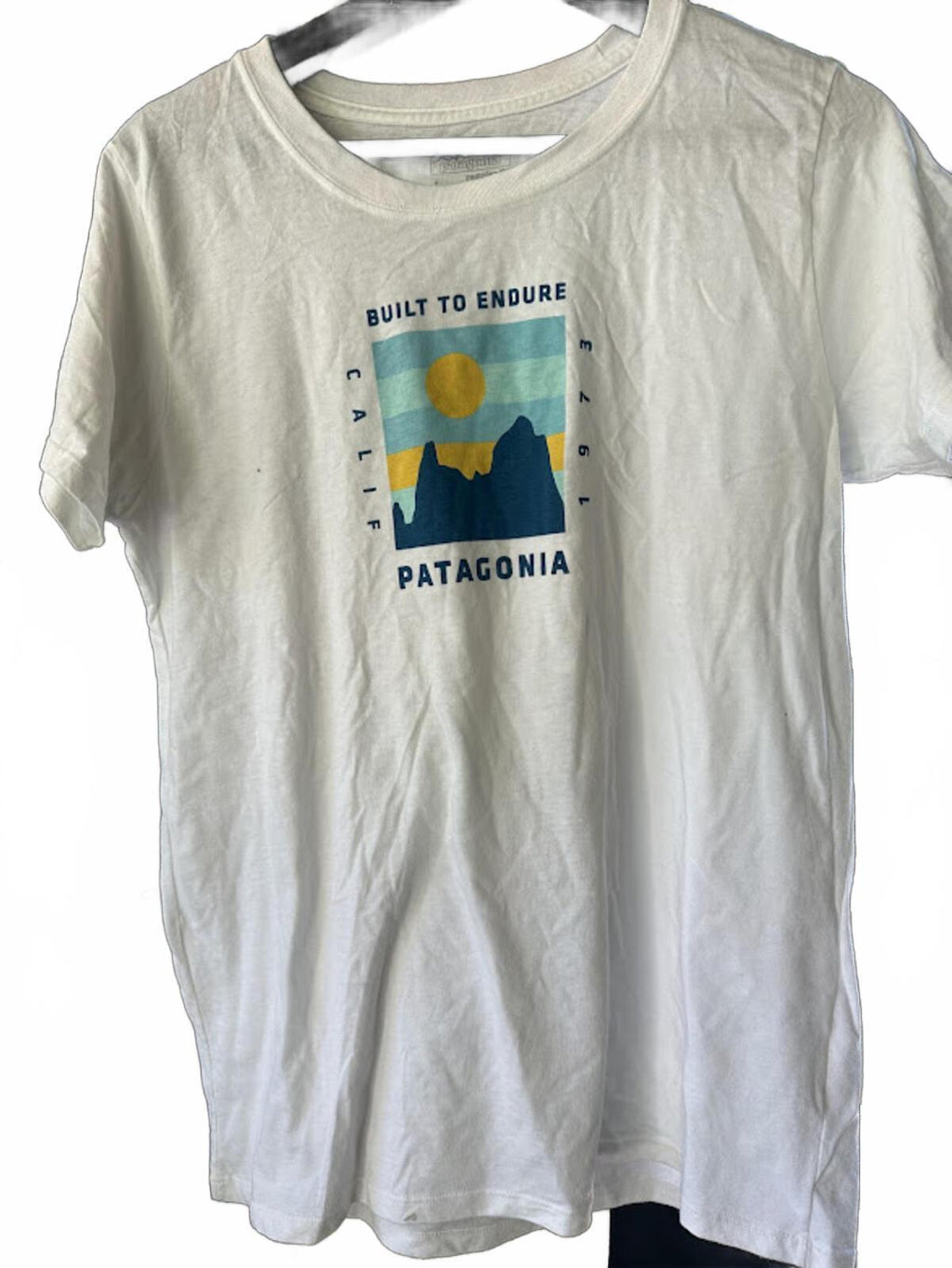 Patagonia Built To Endure Tee