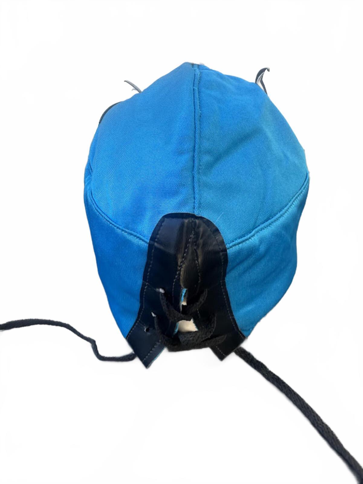 Blue Lucha Libre Wrestling Mask