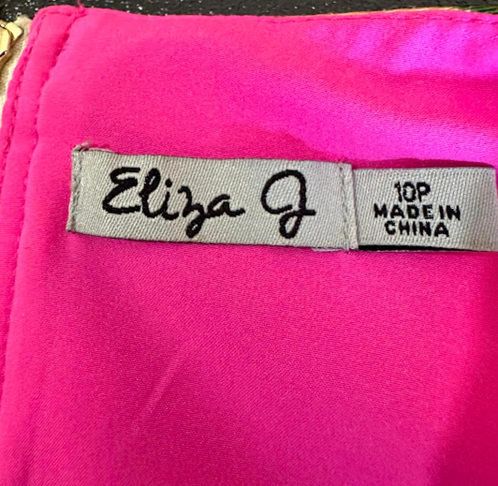 Eliza J Floral Fit & Flare Dress Pink Trim 10P