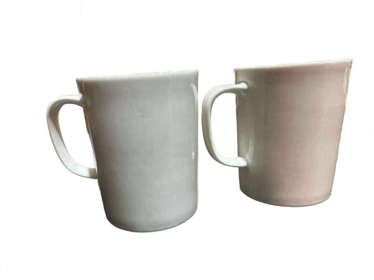 Vintage Bird Coffee Mugs Robin Nature Set of 2
