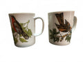 Vintage Bird Coffee Mugs Robin Nature Set of 2