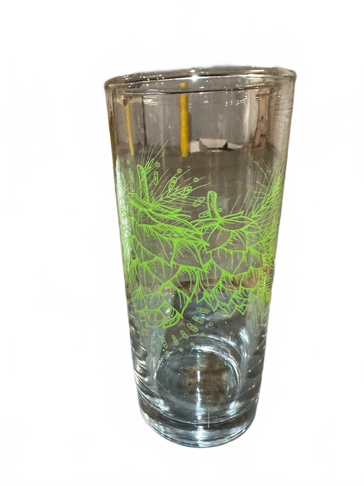 Vintage Green Hops Botanical Highball Tumbler Glass