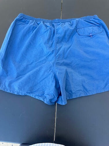 Patagonia Blue Mesh-Lined Swim Trunks L