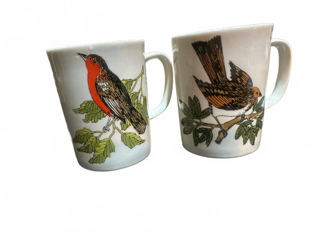 Vintage Bird Coffee Mugs Robin Nature Set of 2