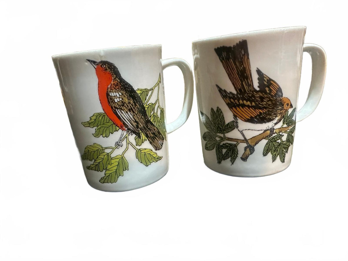 Vintage Bird Coffee Mugs Robin Nature Set of 2
