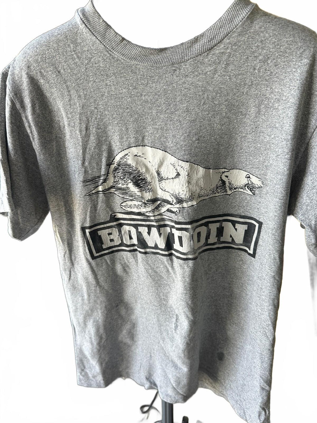 Bowdoin Polar Bear Graphic T-Shirt Gray M