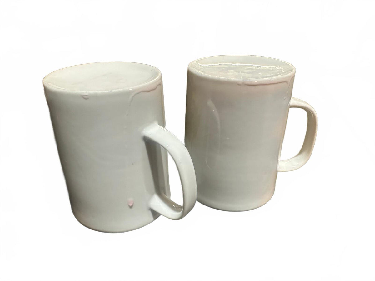 Vintage Bird Coffee Mugs Robin Nature Set of 2