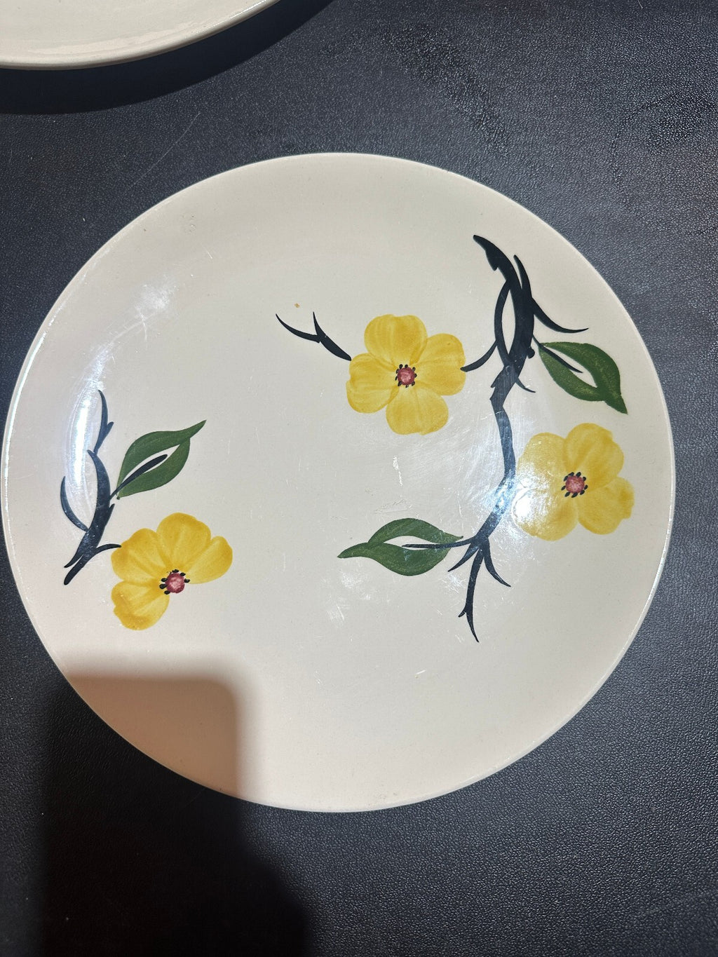 Blue Ridge Southern Dogwood 5 Pc Dinnerware Set Vintage