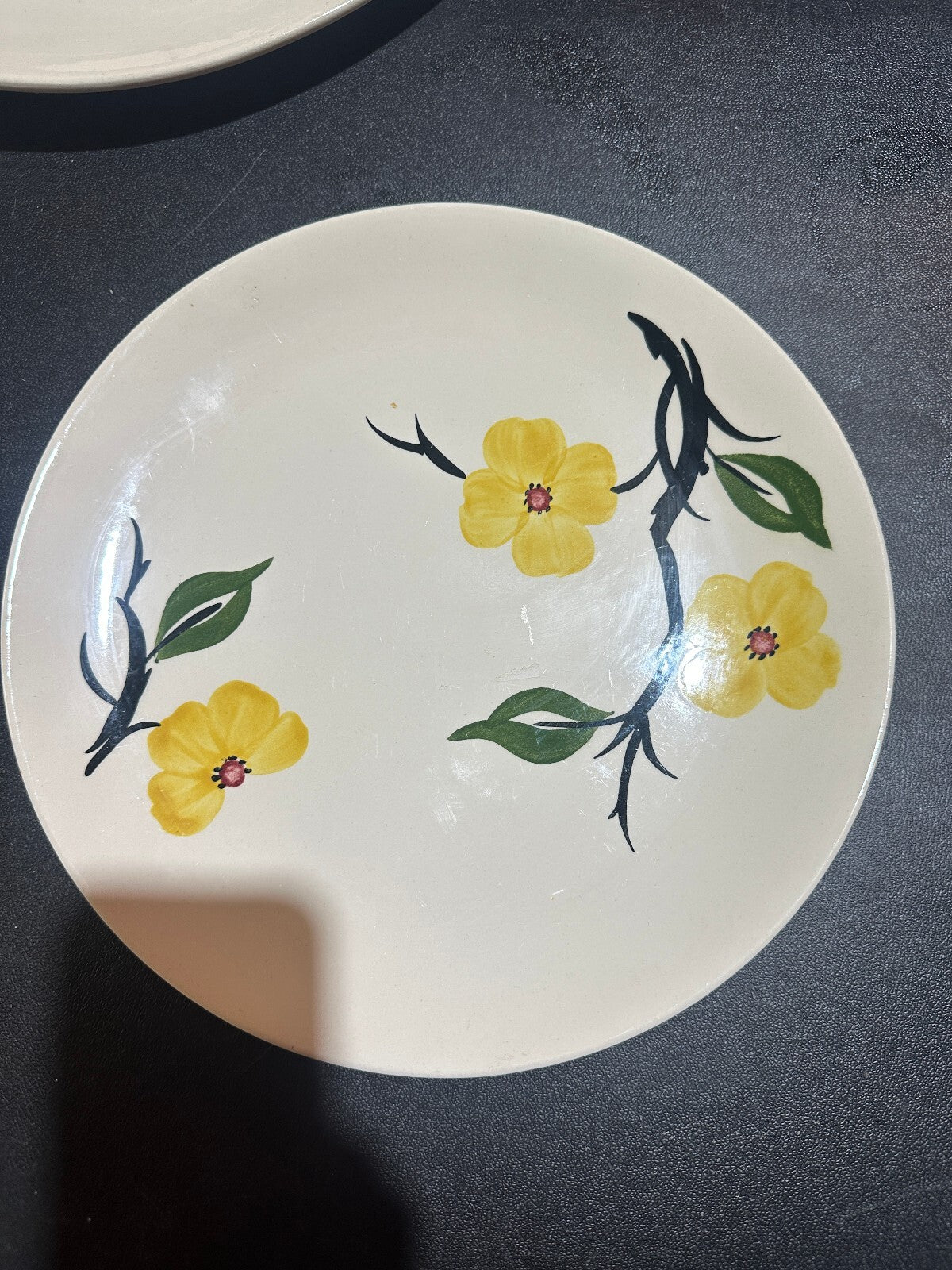 Blue Ridge Southern Dogwood 5 Pc Dinnerware Set Vintage