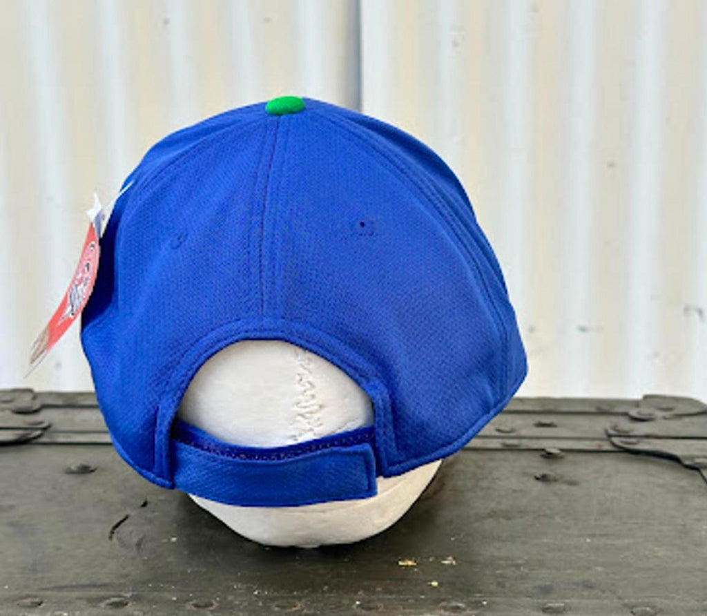 Hartford Yard Goats MiLB NWT Cap OSFA