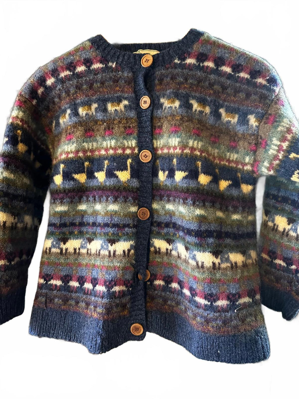 L.L. Bean Fair Isle Pure Wool Cardigan Women’s L