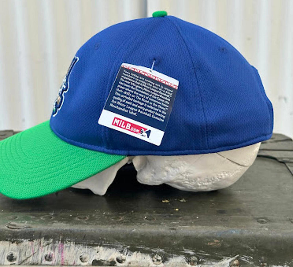 Hartford Yard Goats MiLB NWT Cap OSFA