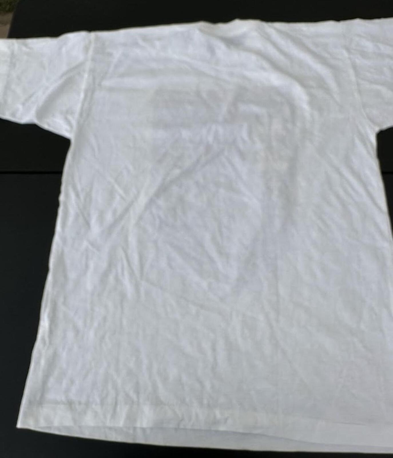 Vintage Venice Italy Tee L Single Stitch