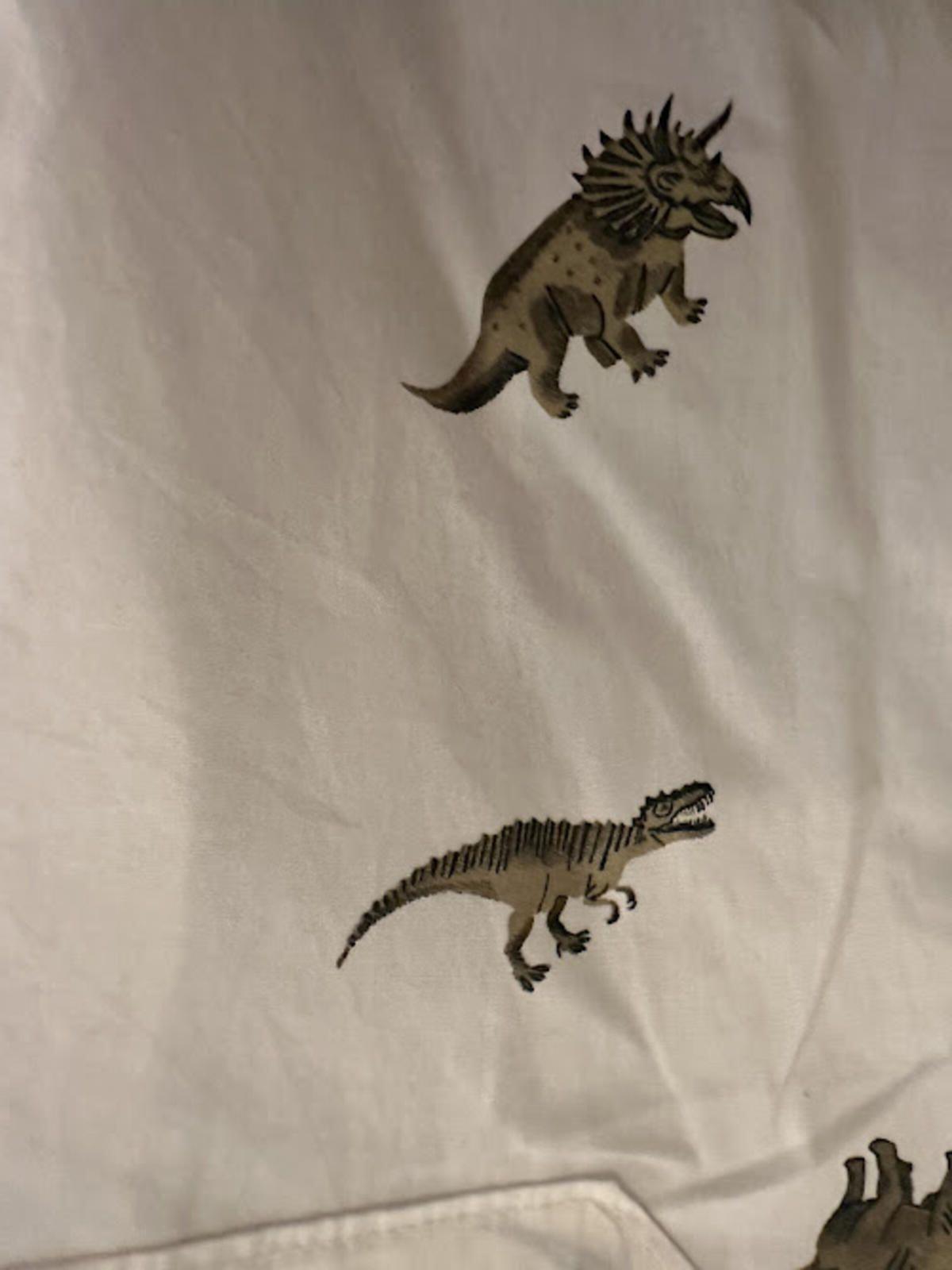 Abound Dinosaur Print Button Shirt Cotton L