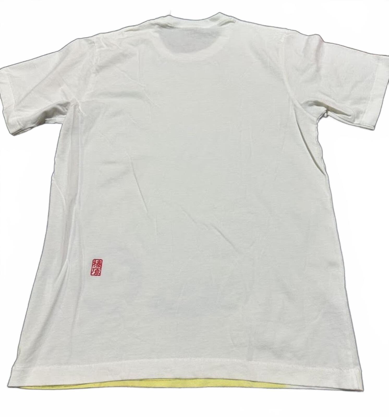 Uniqlo UT Hokusai Mount Fuji Tee NWT M