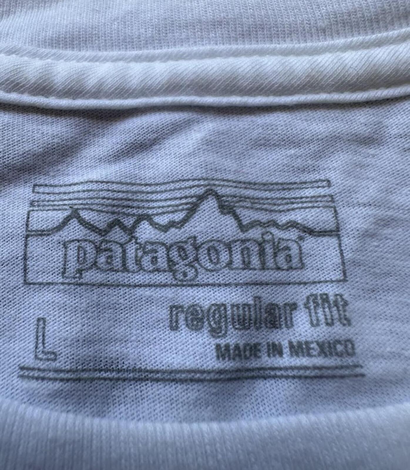 Patagonia Built To Endure Tee