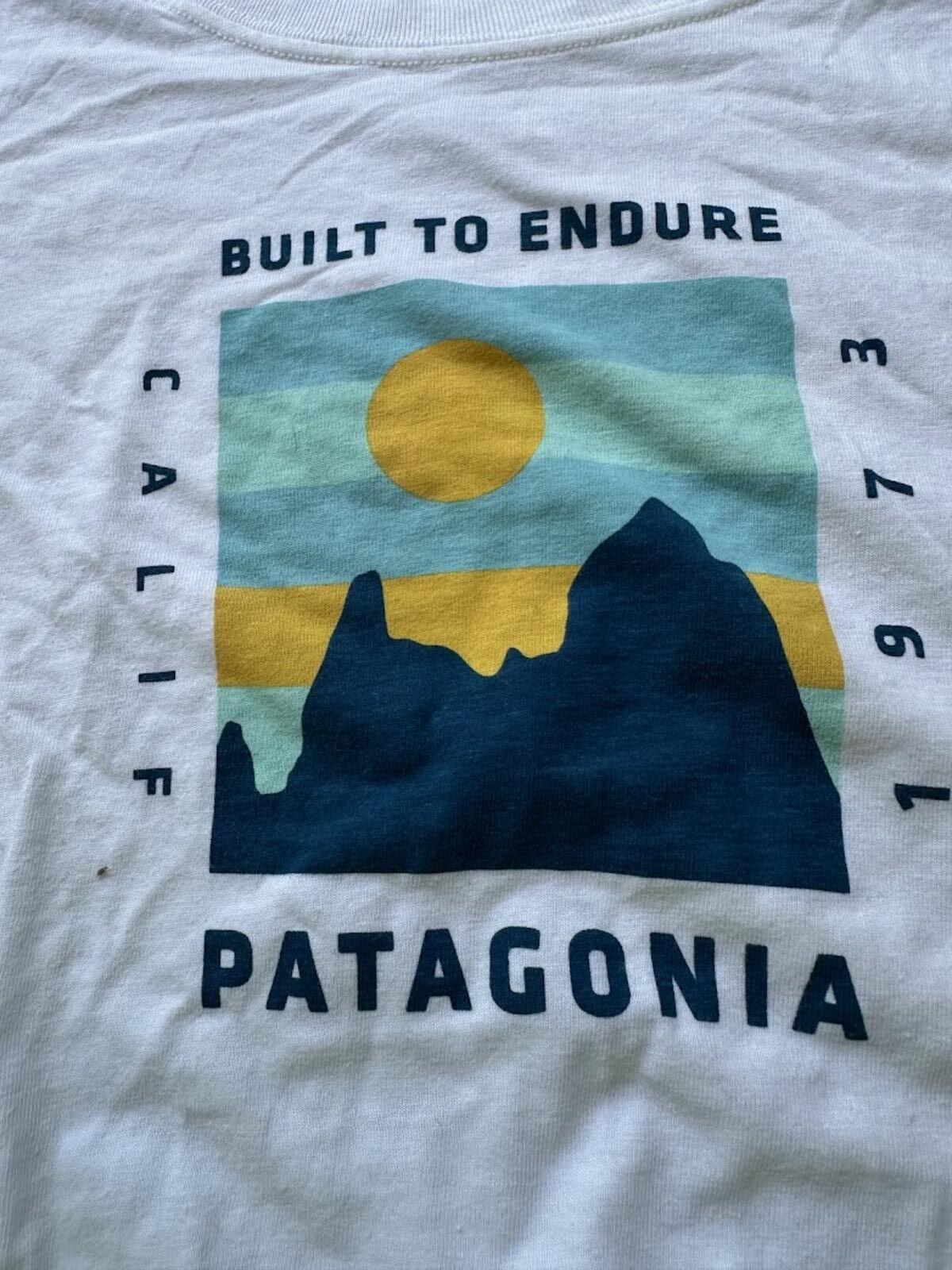 Patagonia Built To Endure Tee