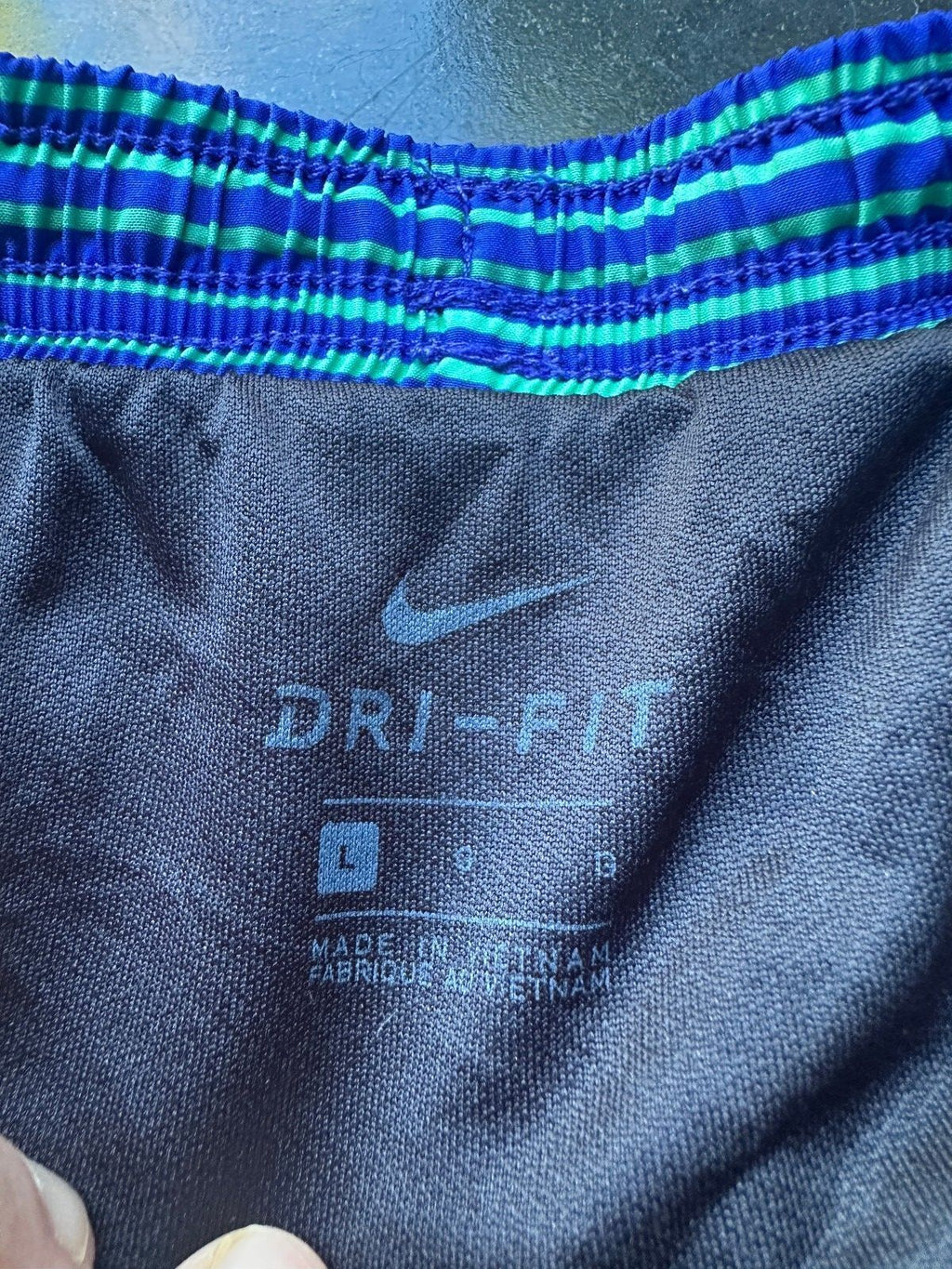 Nike Dri-FIT Blue Green Striped Swim Trunks L