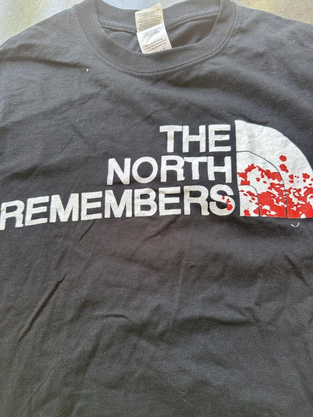The North Remembers Parody Tee Small